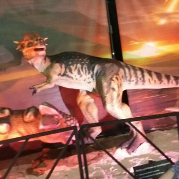 The Peabody Daytona Beach - a woman looking at a display of dinosaurs - Music Venues Near Me - Daytona Beach, Florida The Peabody Daytona Beach - a woman looking at a display of dinosaurs - Music Venues Near Me - Daytona Beach, Florida