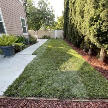 Flatstone Landscaping - Lawn after. - Landscaping Near Me - San Jose, California