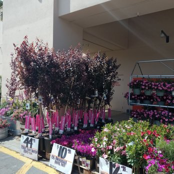 The Home Depot - Nurseries & Gardening Near Me - San Fernando, California The Home Depot - Nurseries & Gardening Near Me - San Fernando, California