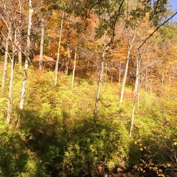 Sharon Woods Park - Parks Near Me - Sharonville, Ohio