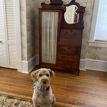 Kind of Blue - Sadie Mae with our 1910 desk/wardrobe. - Antiques Near Me - New Bern, North Carolina Kind of Blue - Sadie Mae with our 1910 desk/wardrobe. - Antiques Near Me - New Bern, North Carolina