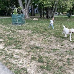Central Bark Dog Park - Dog park