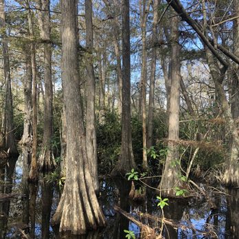 Kirby Storter Roadside Park - Parks Near Me - Ochopee, Florida