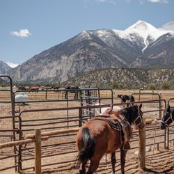 Mt Princeton Riding Stables & Equestrian Center