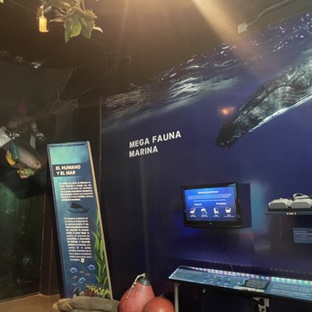 Caracol Museo de Ciencias - The ocean exhibit - Museums Near Me - Ensenada, BCN