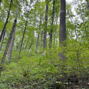 Fort Harrison State Park - Parks Near Me - Indianapolis, Indiana