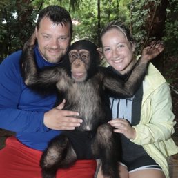 Chimpanzee Chimpanzee