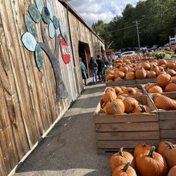 Mack's Apples