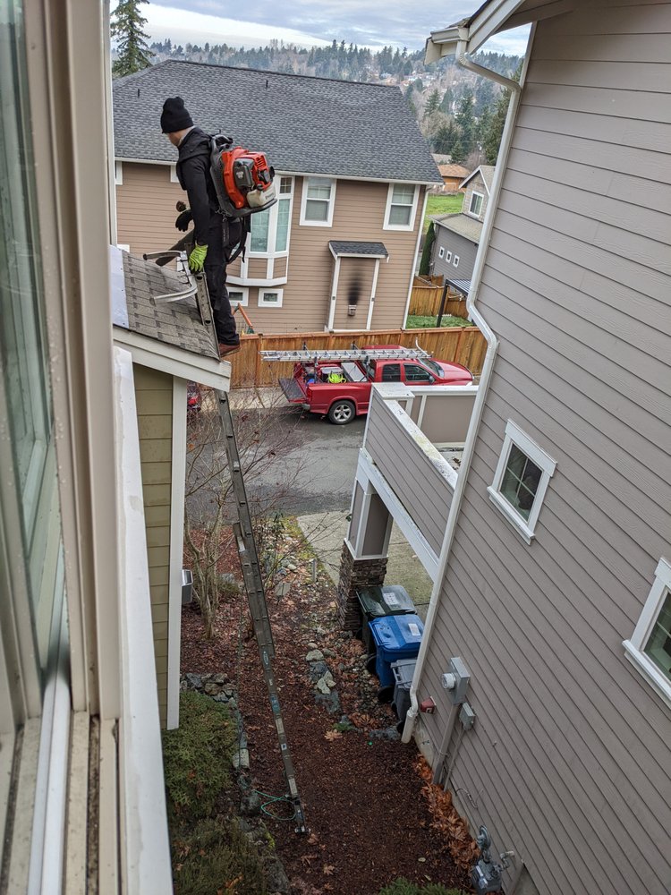 Segard Services - veterans service organization in Kent, WA