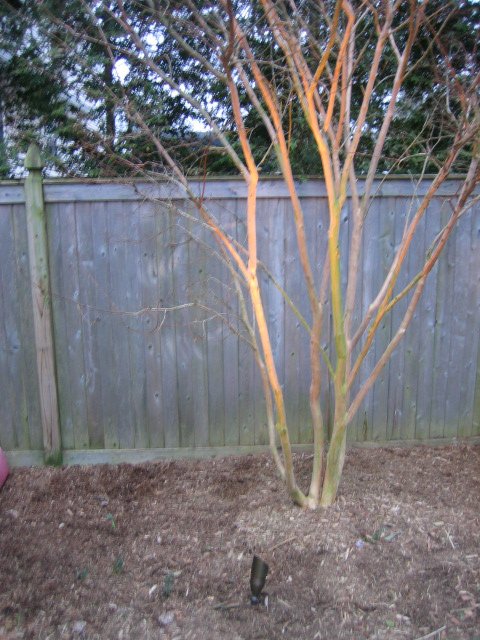 Slide of Sprinkl-Rite Irrigation