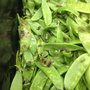 Photo of Foodland