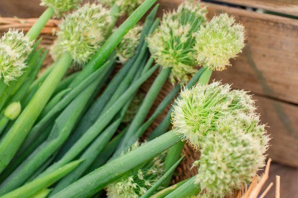 Decatur Farmers Market by null