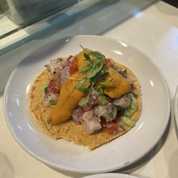 Holbox - Kanpachi & uni tostada - Latin American Near Me - Los Angeles, California