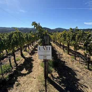 Unti Vineyards - Wineries Near Me - Healdsburg, California Unti Vineyards - Wineries Near Me - Healdsburg, California