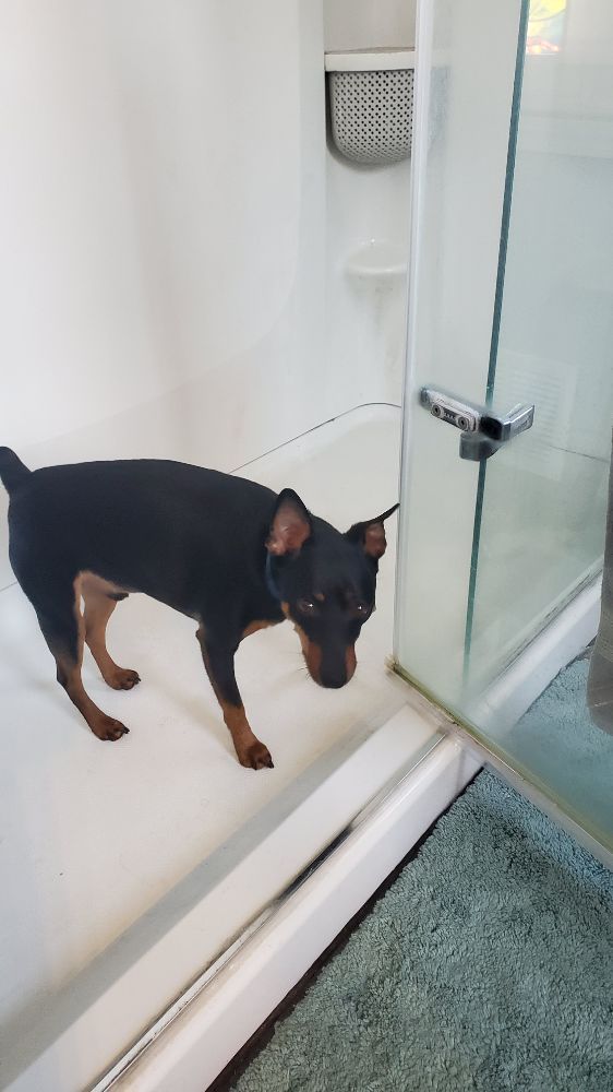 Slide of Parker Brothers Plumbing