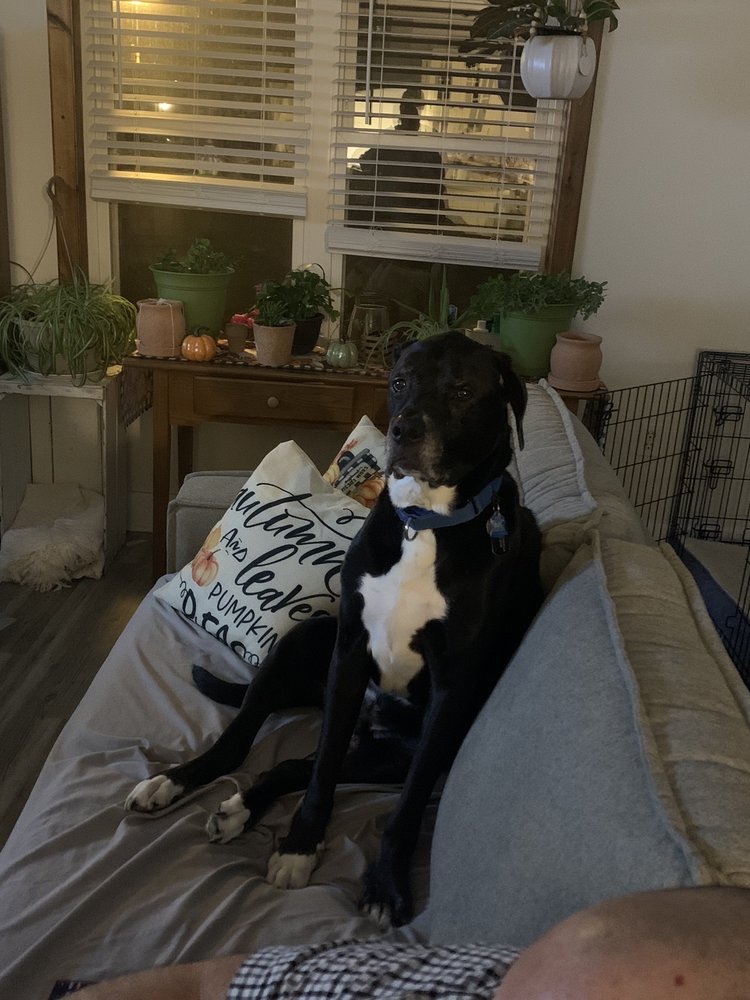 RACCOON VALLEY ANIMAL HOSPITAL Updated August 2024 301 Bridgeton