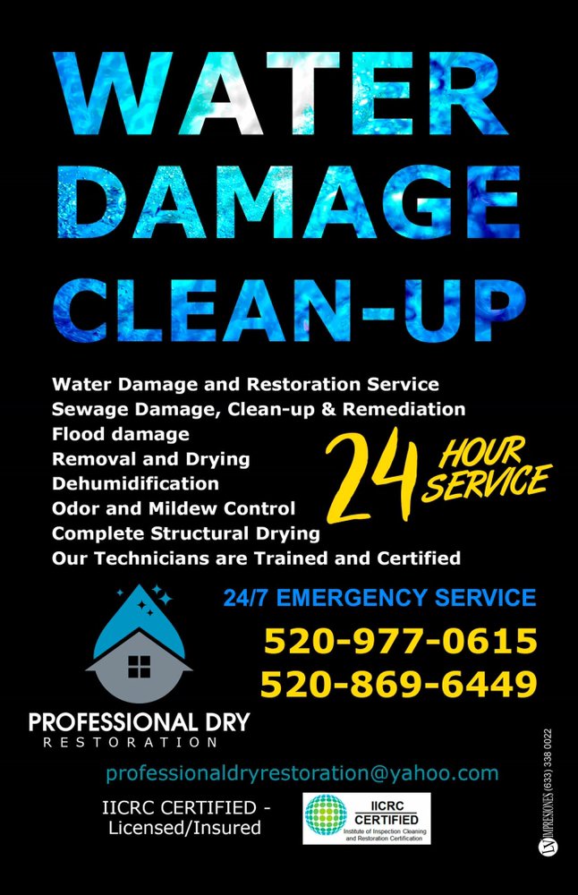 PROFESSIONAL DRY RESTORATION & CARPET CLEANING SPECIALISTS Updated