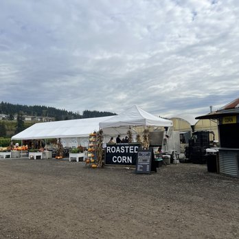 Knutson Farms - Roasted corn - Farms Near Me - Sumner, Washington Knutson Farms - Roasted corn - Farms Near Me - Sumner, Washington