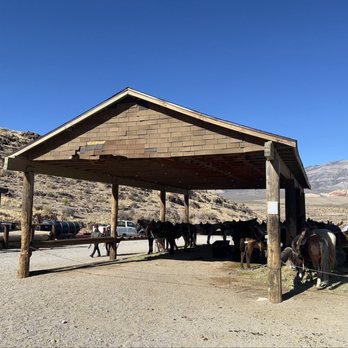 Cowboy Trail Rides - Horseback Riding Near Me - Las Vegas, Nevada
