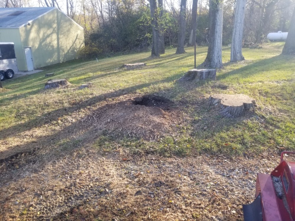 Slide of BFH Services