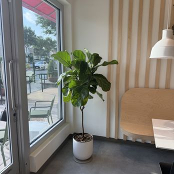 Pure Green - Plant - Juice Bars & Smoothies Near Me - Allen, Texas