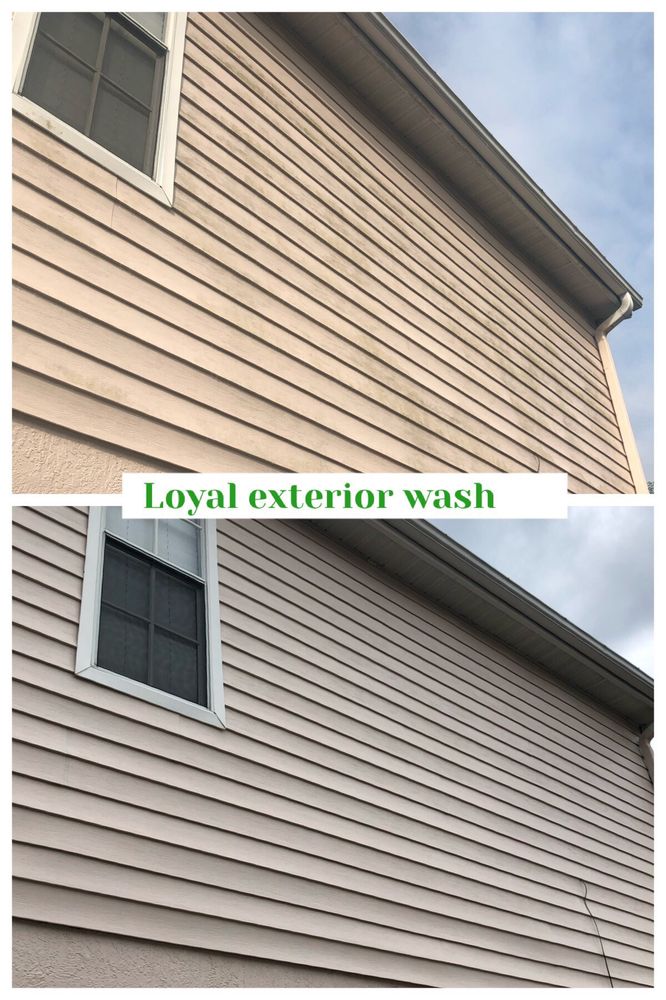 Slide of Loyal Exterior Wash