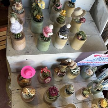 Kyoto Coast Matcha - Coffee & Tea Near Me - San Diego, California Kyoto Coast Matcha - Coffee & Tea Near Me - San Diego, California
