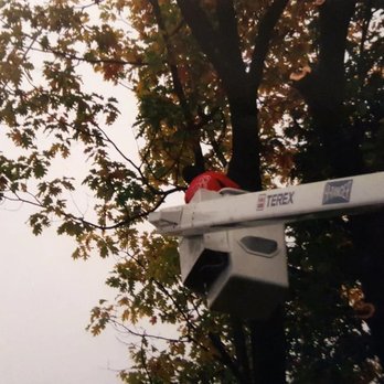 Shull's Tree Service - Tree Services Near Me - Elizabethtown, Pennsylvania Shull's Tree Service - Tree Services Near Me - Elizabethtown, Pennsylvania