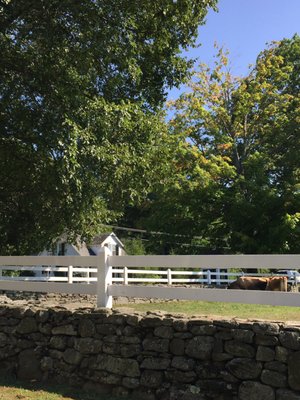 Arethusa Farm by null