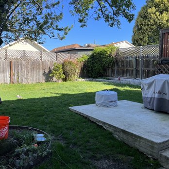 East Bay Landscaping Services - Old yard - Landscaping Near Me - San Pablo, California