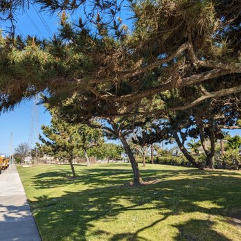 Candleverde Park - View of the park - Dog Parks Near Me - Lakewood, California Candleverde Park - View of the park - Dog Parks Near Me - Lakewood, California