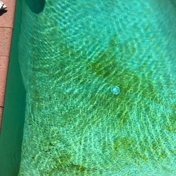 Paramount Pools - Before. Help! - Pool & Hot Tub Service Near Me
