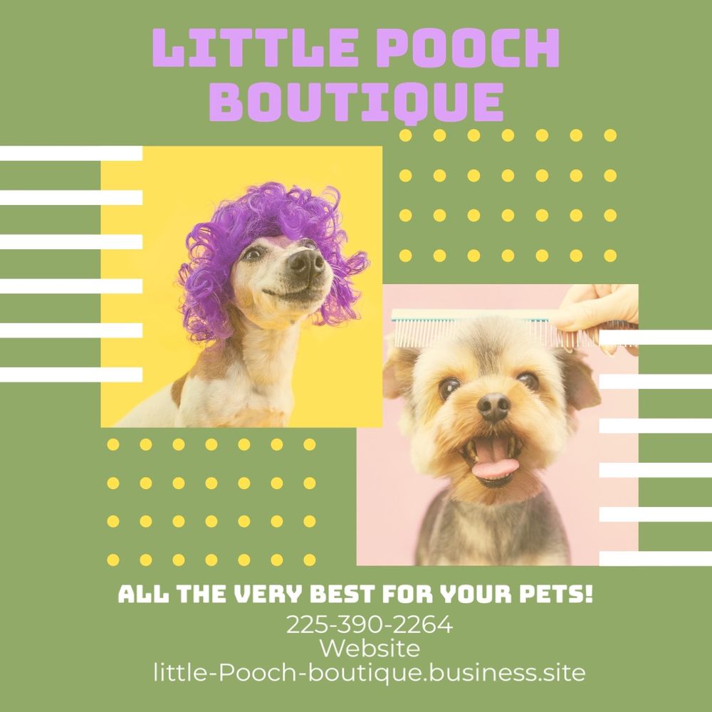 LITTLE POOCH BOUTIQUE Updated March 2024 625 S Burnside Ave
