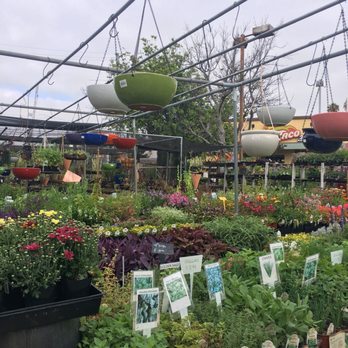 Sunset Nursery - Nurseries & Gardening Near Me - Los Angeles, California