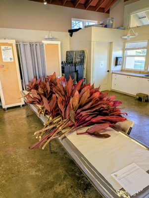 Hui No‘eau Visual Arts Center by null