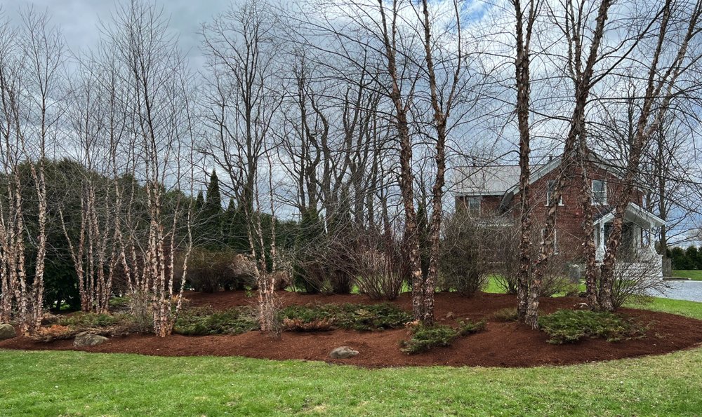 BD Groundworks - tree service in Shelburne, VT