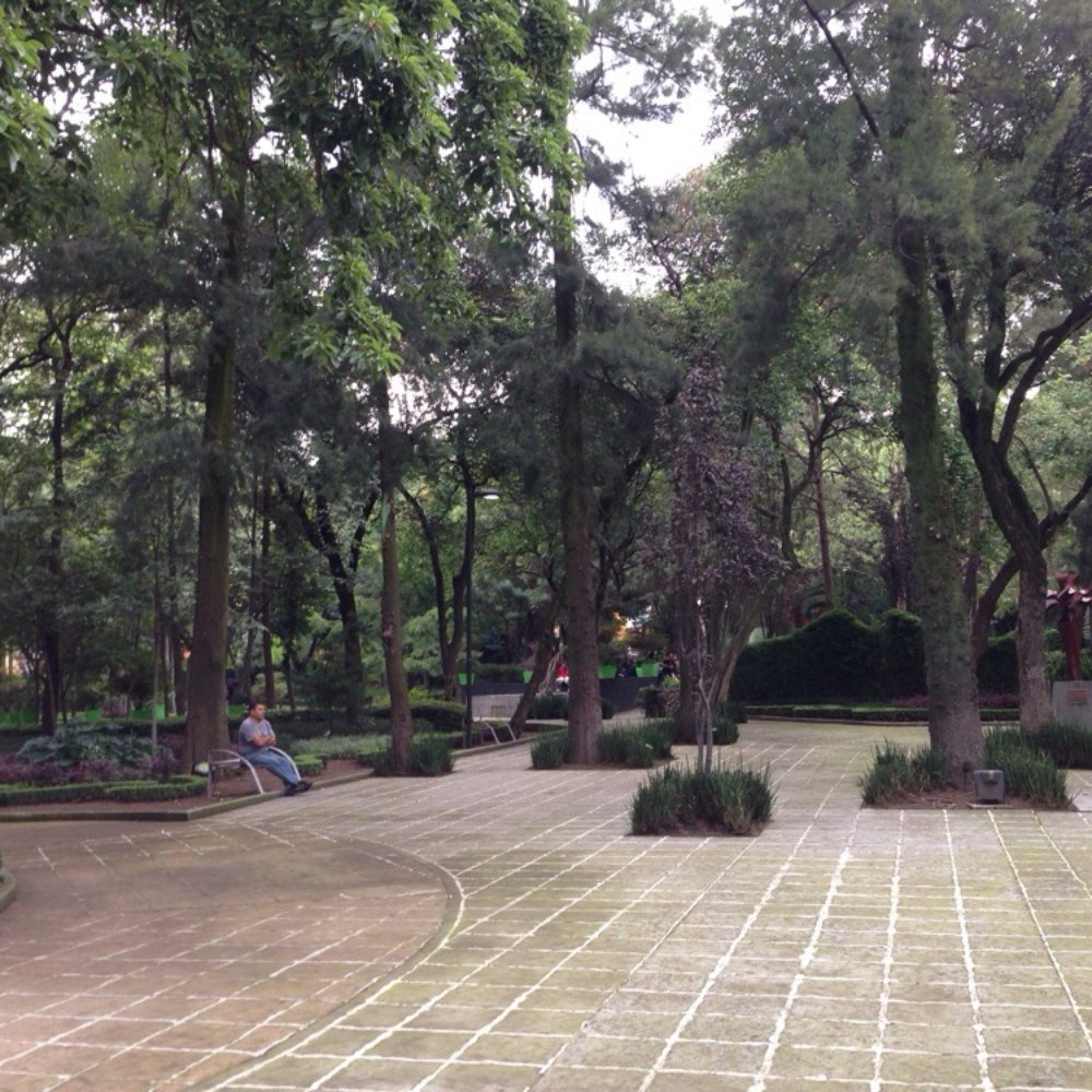 Plaza San Jacinto - Parks Near Me - México, D.F., DIF Plaza San Jacinto - Parks Near Me - México, D.F., DIF