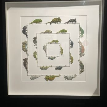 Exquisite Creatures Exhibit - Art Galleries Near Me - Seattle, Washington