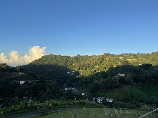 Calichi Gastrobar by null