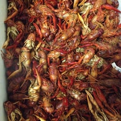 Michelle's Cajun Shack - By the pound or all you can eat crawfish on Fridays!