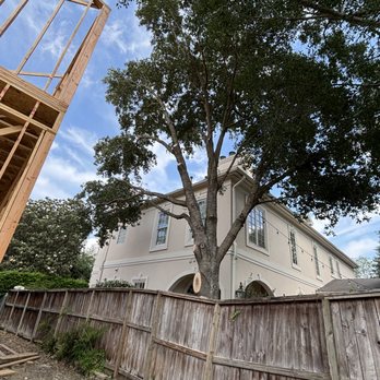 Spring Wood - Tree Services Near Me - Houston, Texas