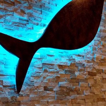 Fish N' Grill - Cool accent wall - Seafood Near Me - Fredericksburg, Virginia
