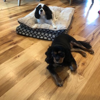 VIP Grooming - Pet Groomers Near Me - Puyallup, Washington VIP Grooming - Pet Groomers Near Me - Puyallup, Washington