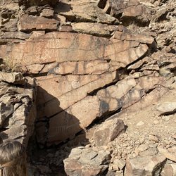 Griffith Canyon Petroglyphs - Petroglyphs in Griffith Canyon