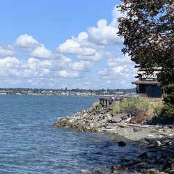 Boulevard Park - Along the paved walkway with view of Wood's cafe.