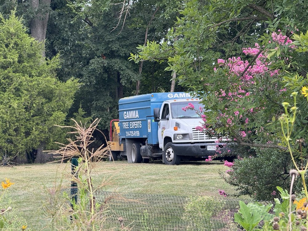 Gamma Tree Experts - tree service in University City, MO