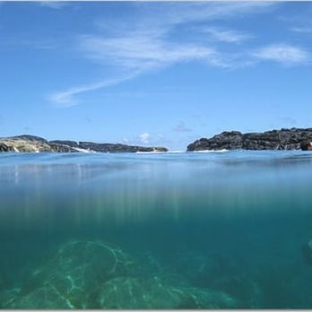 Queen's Bath - The clarity is amazing (used waterproof case for our camera.) - Landmarks & Historical Buildings Near Me - Princeville, Hawaii