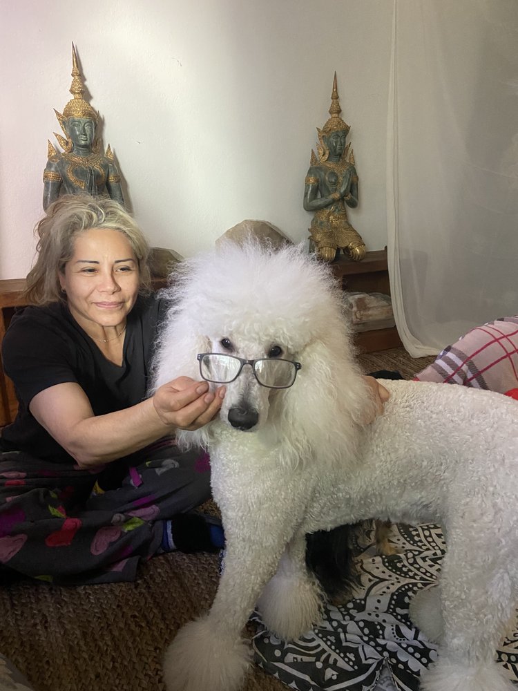 SHAGGY DOGS GROOMING SALON AND DAY CARE 47 Photos & 34 Reviews