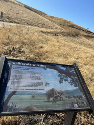 Briones Regional Park by null