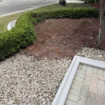 Castle Tree Art - Agave after - Tree Services Near Me - Coral Springs, Florida Castle Tree Art - Agave after - Tree Services Near Me - Coral Springs, Florida